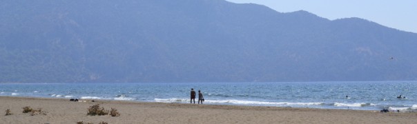 Beach Stroll